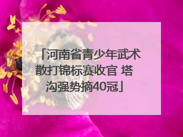 河南省青少年武术散打锦标赛收官 塔沟强势摘40冠