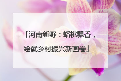 河南新野：蟠桃飘香，绘就乡村振兴新画卷