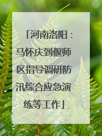 河南洛阳：马怀庆到偃师区指导调研防汛综合应急演练等工作