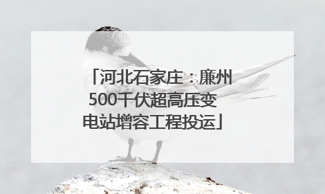 河北石家庄：廉州500千伏超高压变电站增容工程投运