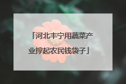 河北丰宁用蔬菜产业撑起农民钱袋子