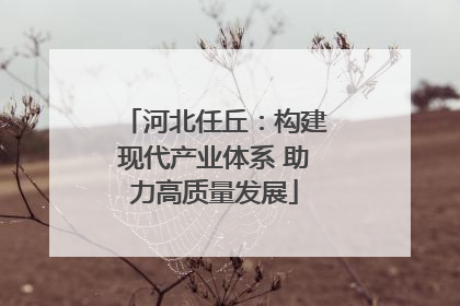 河北任丘：构建现代产业体系 助力高质量发展