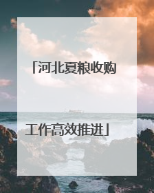 河北夏粮收购工作高效推进