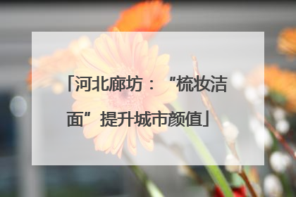 河北廊坊：“梳妆洁面”提升城市颜值