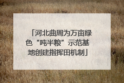 河北曲周为万亩绿色“吨半粮”示范基地创建指挥田机制
