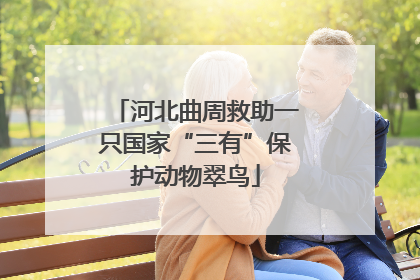 河北曲周救助一只国家“三有”保护动物翠鸟