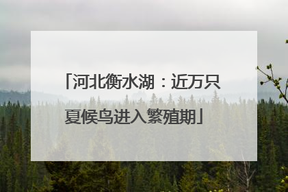 河北衡水湖：近万只夏候鸟进入繁殖期