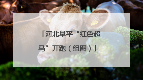 河北阜平“红色超马”开跑（组图）