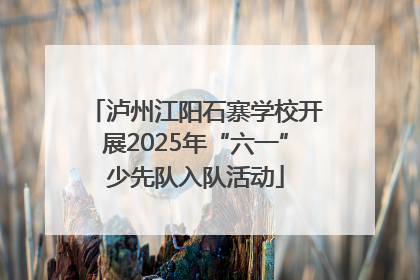 泸州江阳石寨学校开展2025年“六一”少先队入队活动