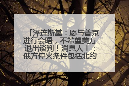 泽连斯基：愿与普京进行会晤，不希望美方退出谈判！消息人士：俄方停火条件包括北约“书面”保证不东扩