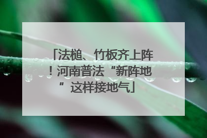 法槌、竹板齐上阵！河南普法“新阵地”这样接地气