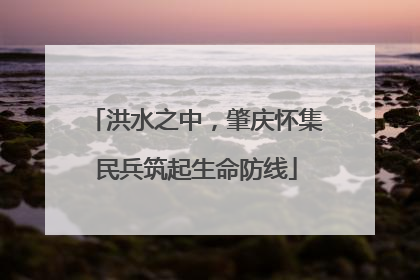 洪水之中，肇庆怀集民兵筑起生命防线