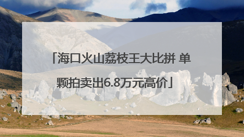 海口火山荔枝王大比拼 单颗拍卖出6.8万元高价