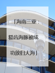 海南三亚：糙齿海豚被成功放归大海