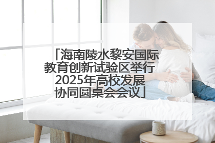 海南陵水黎安国际教育创新试验区举行2025年高校发展协同圆桌会会议