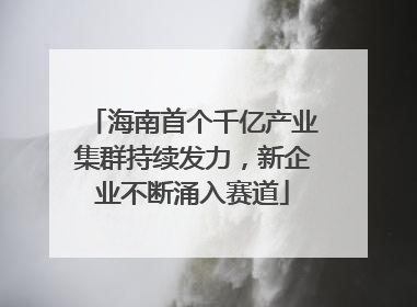 海南首个千亿产业集群持续发力，新企业不断涌入赛道