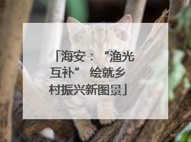 海安：“渔光互补” 绘就乡村振兴新图景