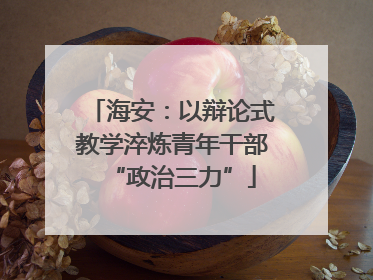 海安：以辩论式教学淬炼青年干部“政治三力”