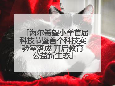 海尔希望小学首届科技节暨首个科技实验室落成 开启教育公益新生态