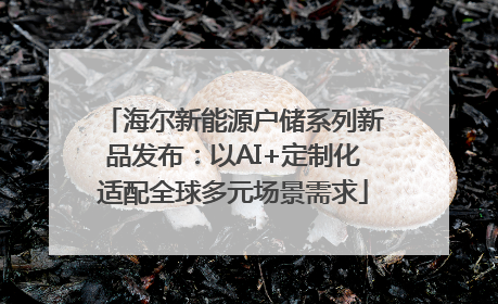 海尔新能源户储系列新品发布：以AI+定制化适配全球多元场景需求