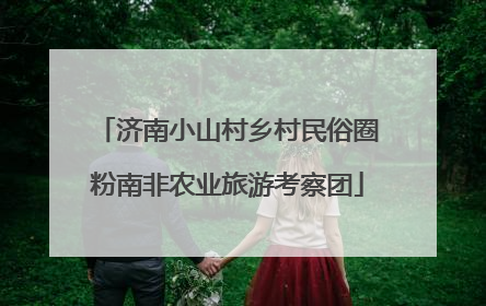 济南小山村乡村民俗圈粉南非农业旅游考察团