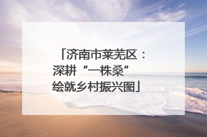 济南市莱芜区：深耕“一株桑” 绘就乡村振兴图