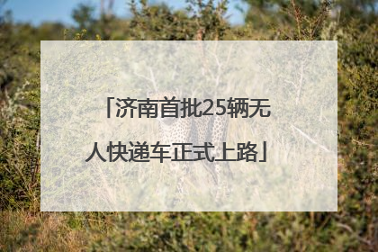 济南首批25辆无人快递车正式上路