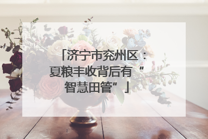 济宁市兖州区：夏粮丰收背后有“智慧田管”