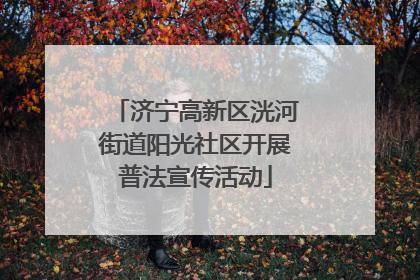 济宁高新区洸河街道阳光社区开展普法宣传活动
