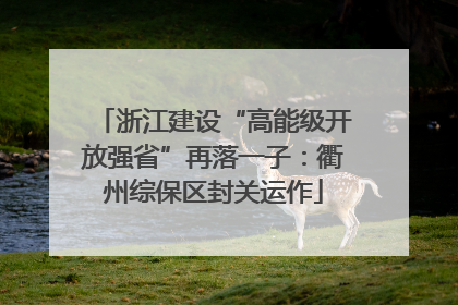 浙江建设“高能级开放强省”再落一子：衢州综保区封关运作