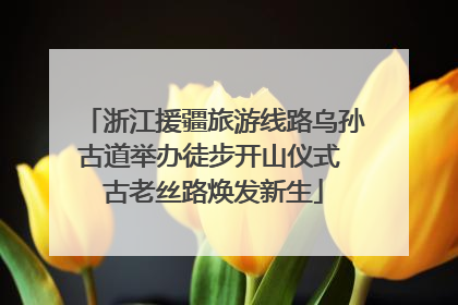浙江援疆旅游线路乌孙古道举办徒步开山仪式 古老丝路焕发新生