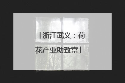浙江武义：荷花产业助致富