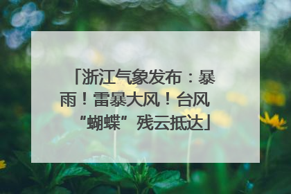 浙江气象发布：暴雨！雷暴大风！台风“蝴蝶”残云抵达