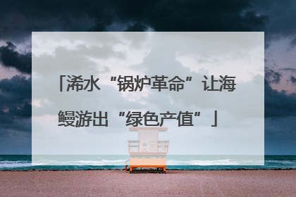 浠水“锅炉革命”让海鳗游出“绿色产值”
