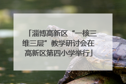 淄博高新区“一核三维三层”教学研讨会在高新区第四小学举行