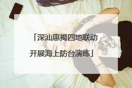 深汕惠揭四地联动开展海上防台演练