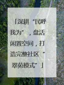 深耕“民呼我为”，盘活闲置空间，打造完整社区“翠苑模式”
