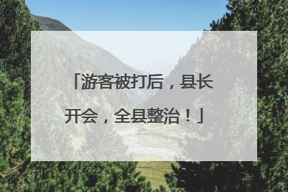 游客被打后，县长开会，全县整治！