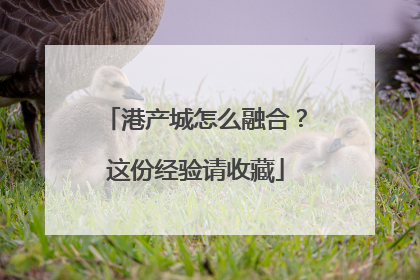 港产城怎么融合？这份经验请收藏