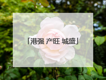 港强 产旺 城盛