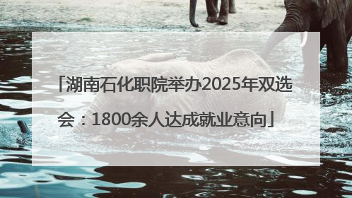湖南石化职院举办2025年双选会：1800余人达成就业意向