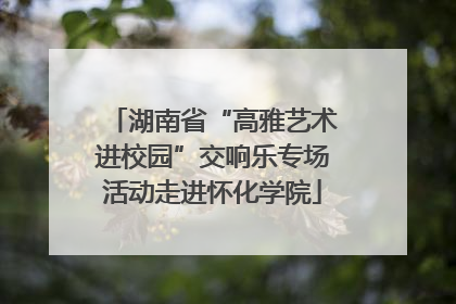 湖南省“高雅艺术进校园”交响乐专场活动走进怀化学院