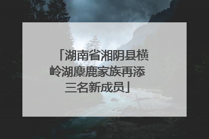 湖南省湘阴县横岭湖麋鹿家族再添三名新成员