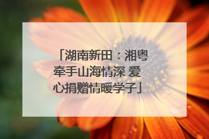 湖南新田：湘粤牵手山海情深 爱心捐赠情暖学子