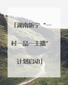 湖南新宁“一村一品一主播”计划启动