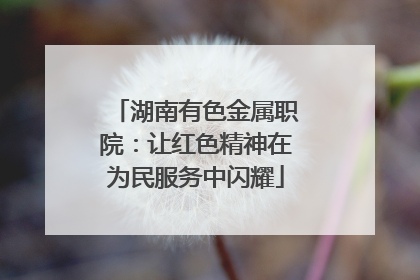 湖南有色金属职院：让红色精神在为民服务中闪耀
