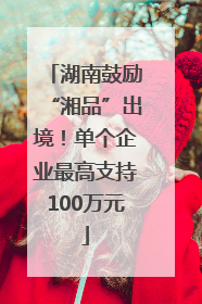 湖南鼓励“湘品”出境！单个企业最高支持100万元
