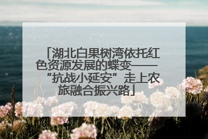 湖北白果树湾依托红色资源发展的蝶变——“抗战小延安”走上农旅融合振兴路