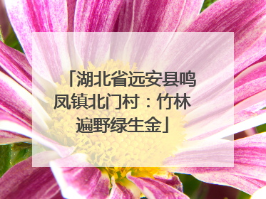 湖北省远安县鸣凤镇北门村：竹林遍野绿生金