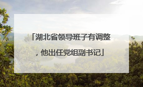 湖北省领导班子有调整，他出任党组副书记
